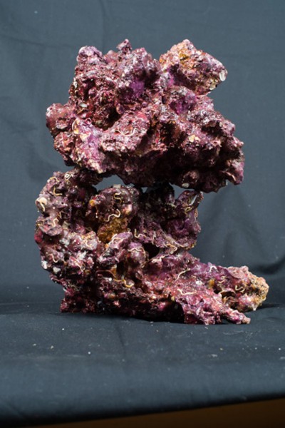 Real Reef Rocks